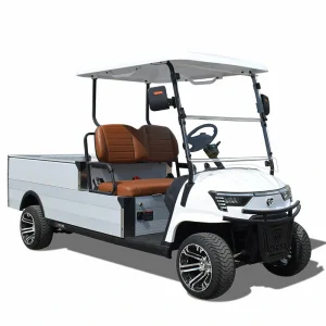 0.5 ton electric truck