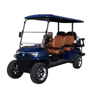 6 seater utility golf cart E4C royal blue
