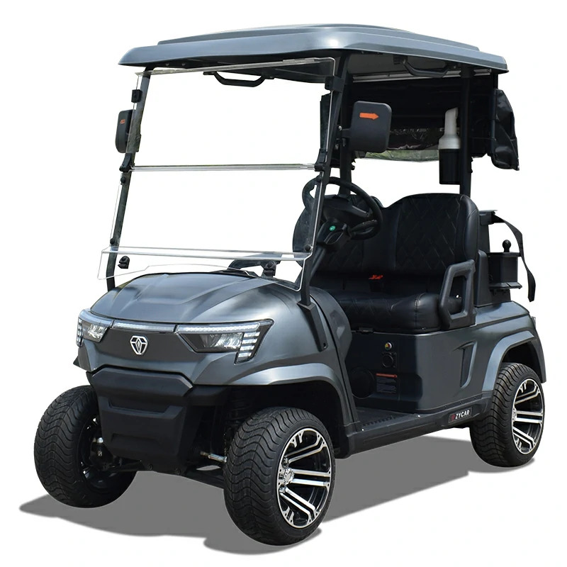 2 seater golf cart E2 grey