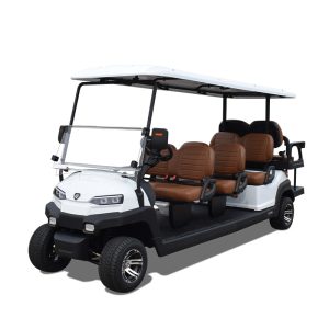 8 seater utility golf cart Z6C white